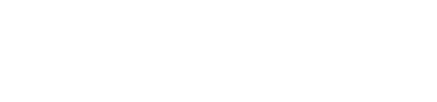 Örnek Firma